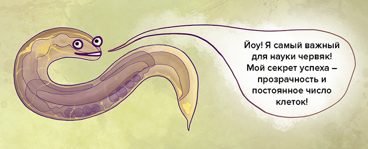 Иллюстрация: Ксения Сайфуллина