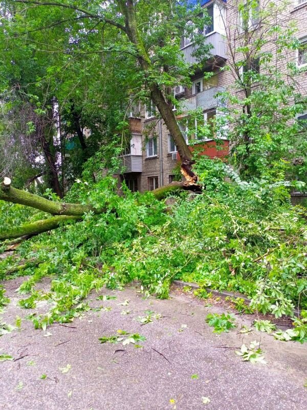    Фото: соцсети