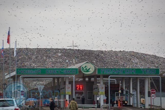 Полигон «Новый Свет-ЭКО» / Фото: vk.com / Администрация Гатчинского района
