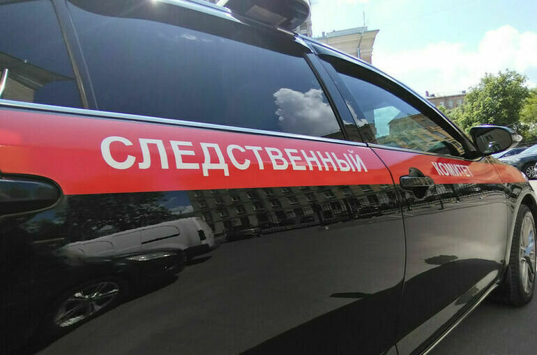   Алина Цыганова/ПГ