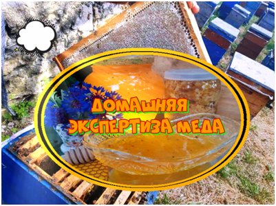Как распознать натуральный мед