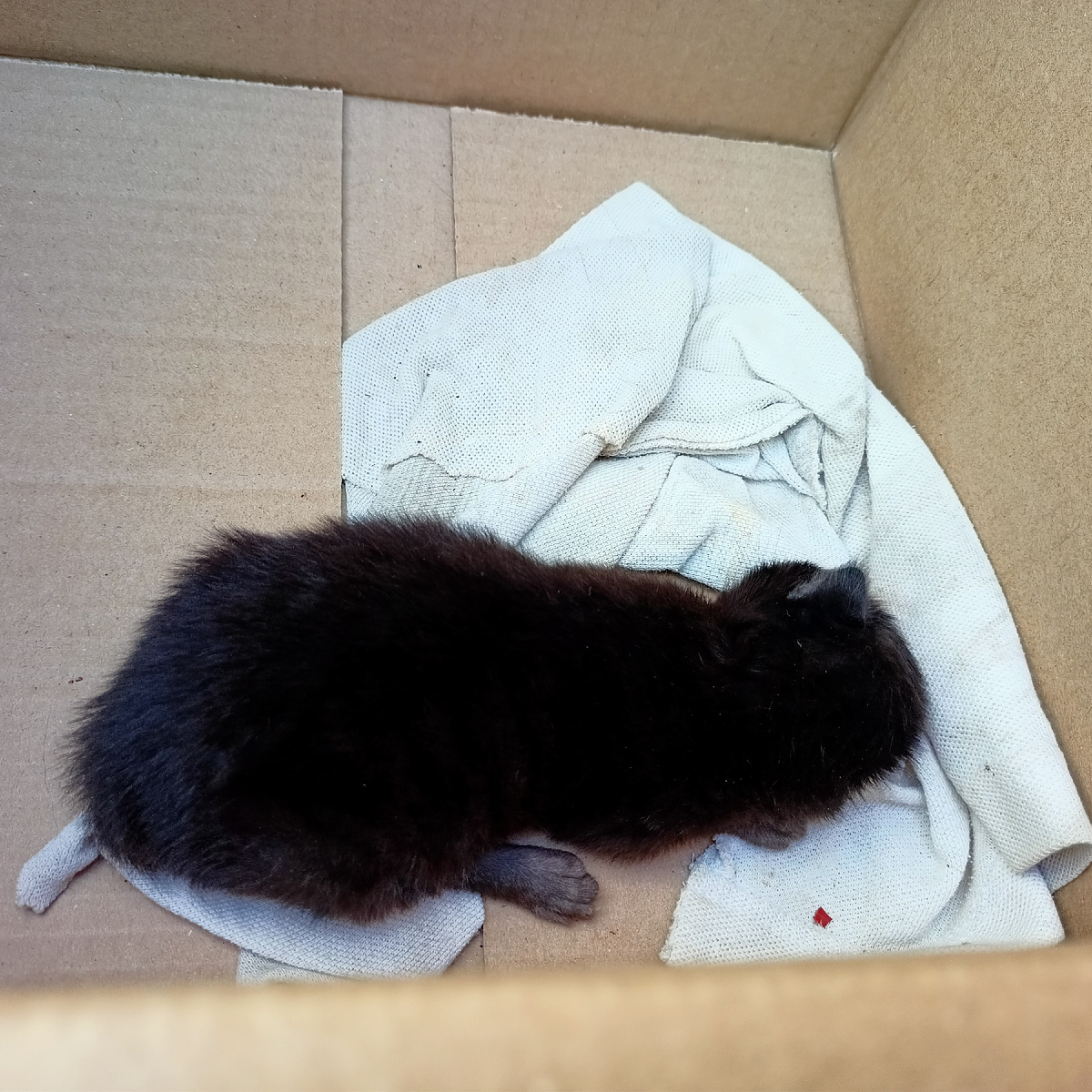 Малыш сам, фото автора 