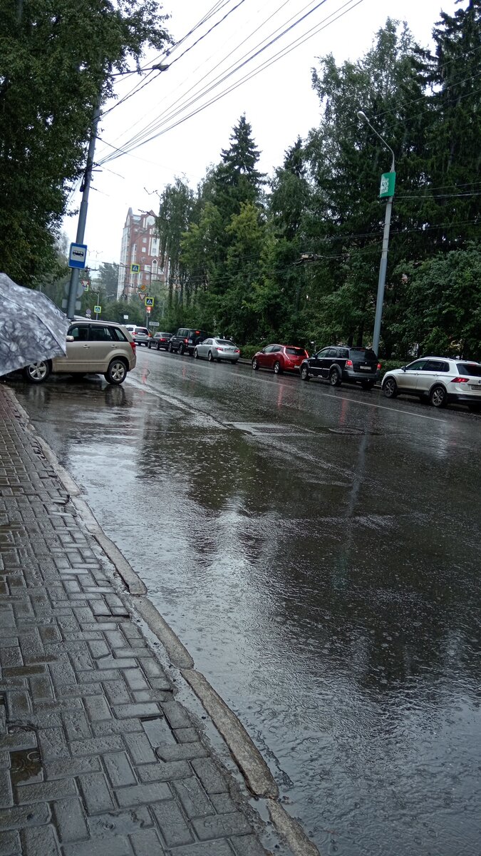 Одна из центральных улиц Томска – проспект Кирова