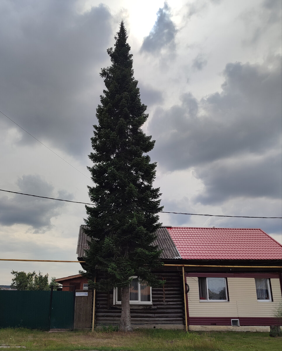 Первое августа - день тревог и ожиданий