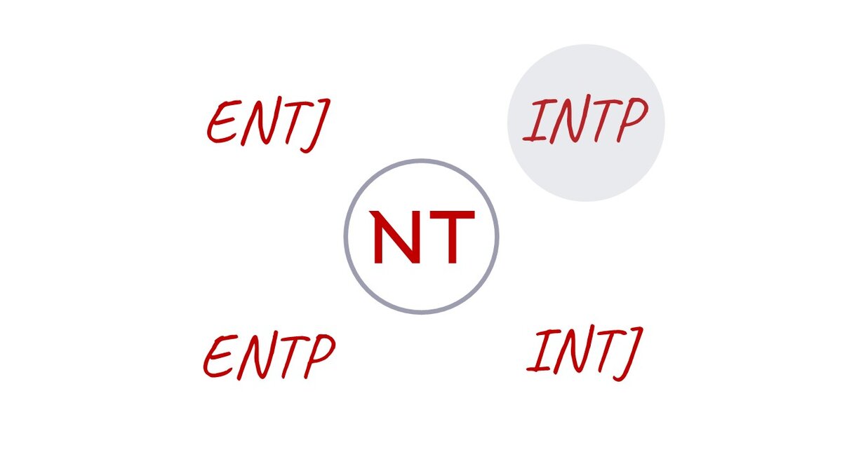 4 вариации мета-типа NT