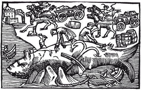 Разделка китовой туши, Фарерские острова (Олаус Магнус) 
Источник: https://historylib.org/historybooks/Gvin--Dzhons_Vikingi--Potomki-Odina-i-Tora/11#n_131