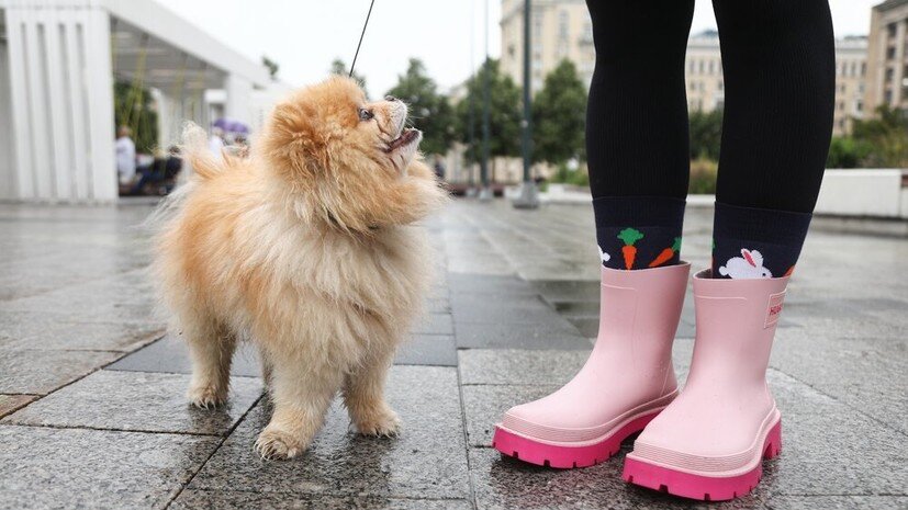   АГН «Москва» Новосильцев Артур