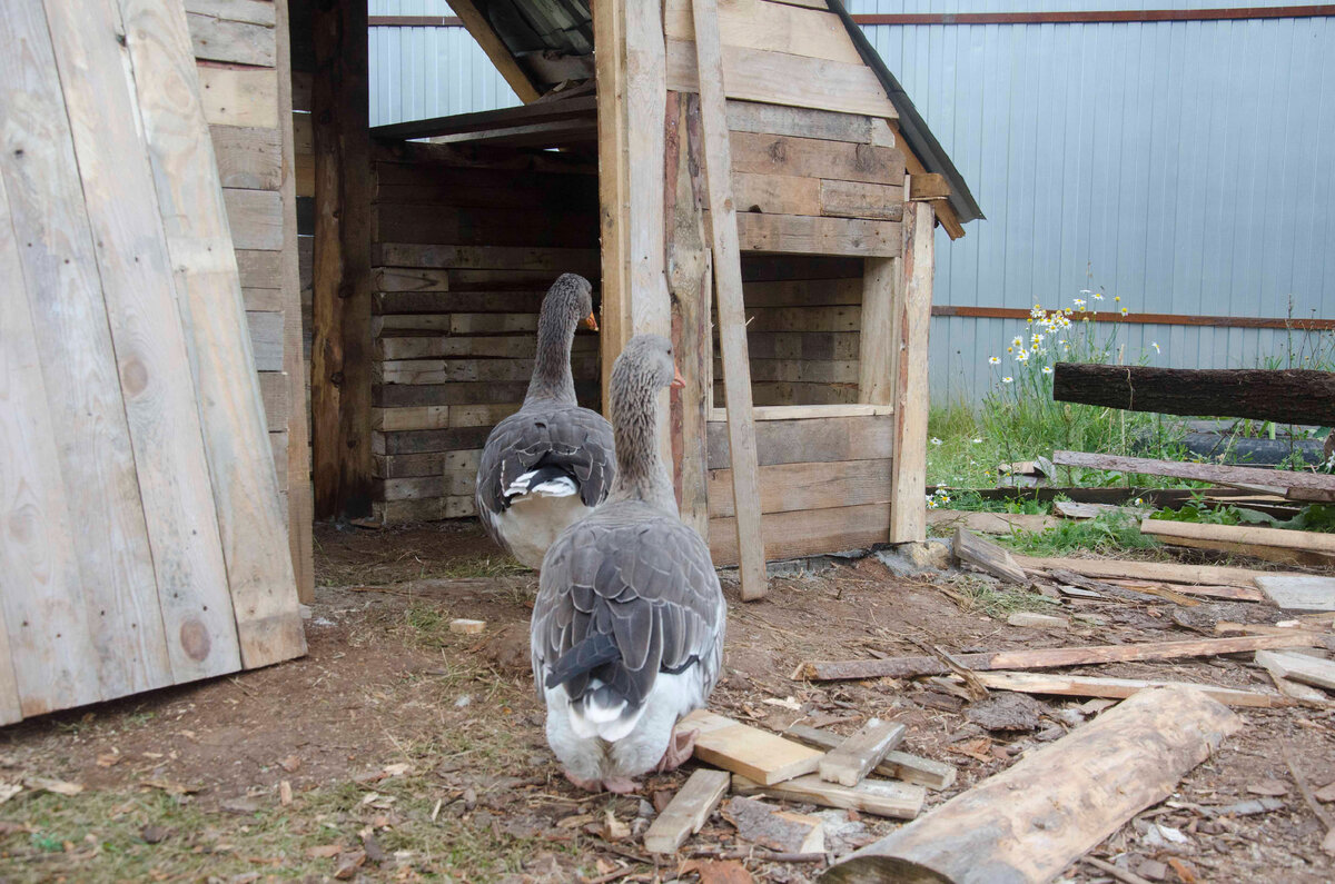 Приведу простой и понятный пример, каких в жизни "на земле" в изобилии, главное – замечать их и анализировать в ключе: "Для чего мне эта ситуация?", так как абсолютно всё, что есть в этом мире, создано для пользы душ, пришедших сюда за опытом в материи.