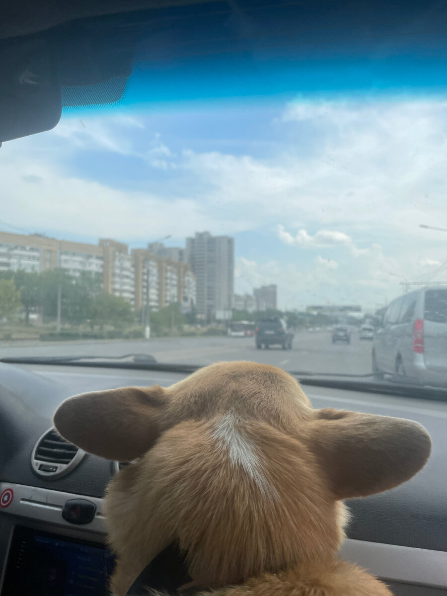 Въехали в Волгоград 😌