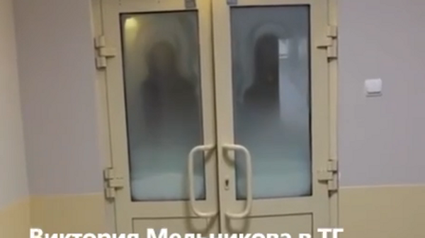    © Виктория Мельникова | Главред из ДНР/Telegram