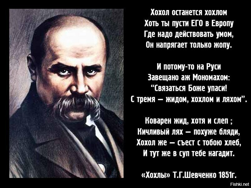 из интернета