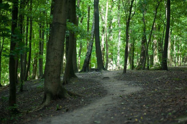   Фото из архива Калининград.Ru