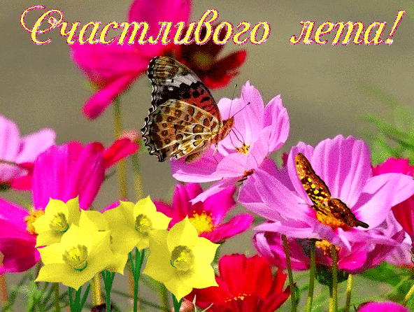 Источник: Яндекс картинки