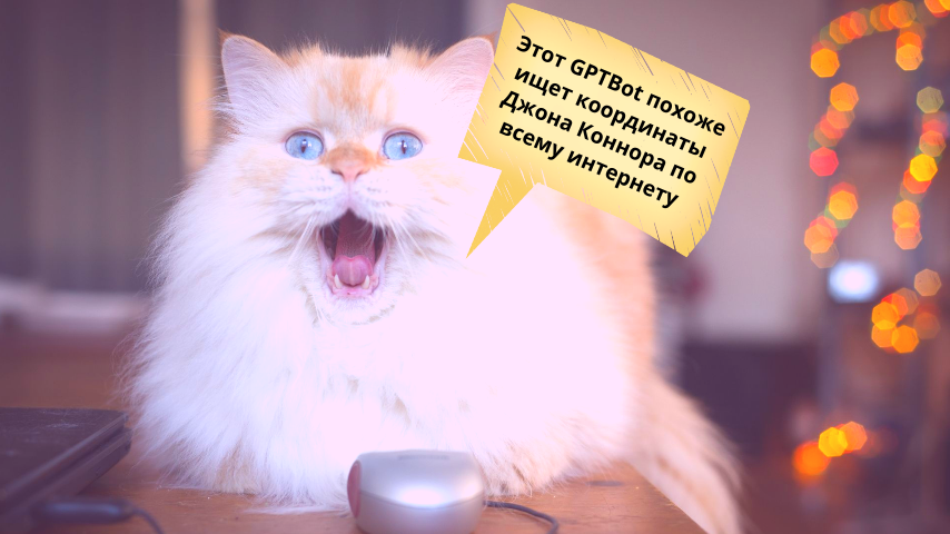 Запрет индексации сайта ИИ