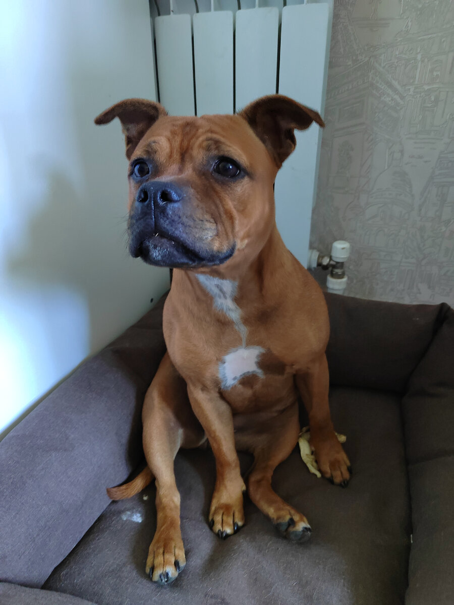 Фото из личного архива