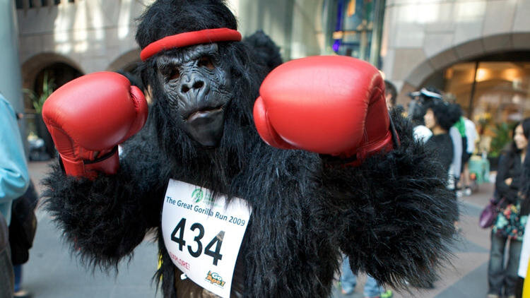 Фото - Time Out: https://www.timeout.com/london/things-to-do/the-great-gorilla-run