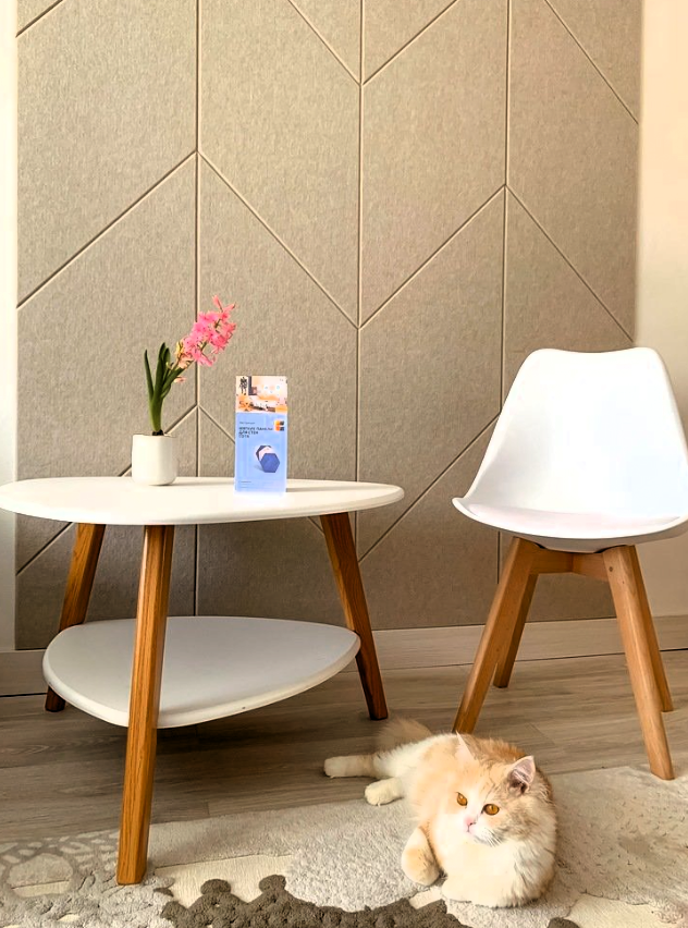 Женщина с мужем решила своими руками сделать недорогой ремонт в ...