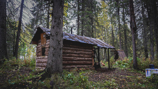 ЖИЗНЬ В ТАЙГЕ. ОСЕННЯЯ РЫБАЛКА. ТЯЖЕЛАЯ ОХОТА.