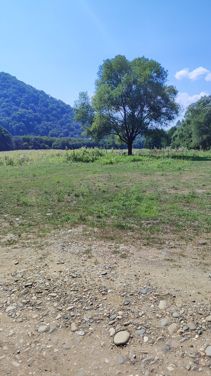 Сама поляна.... А палатки ниже к реке... 