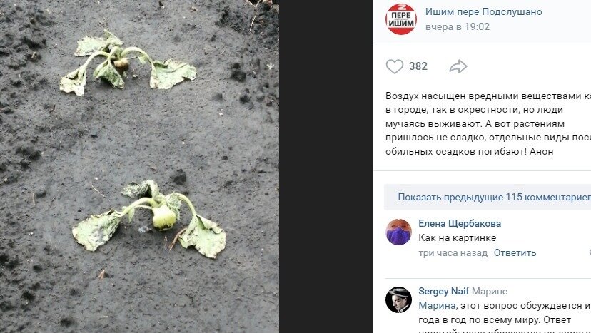     Из-за засухи и затяжных дождей тюменские садоводы сообщают о гибели урожая на дачных участках. Капризы погоды повлияли на рост огурцов, моркови и помидор.