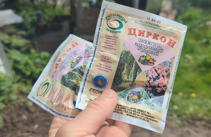 Питательная подкормка для капусты в июле направленная на формирование ...