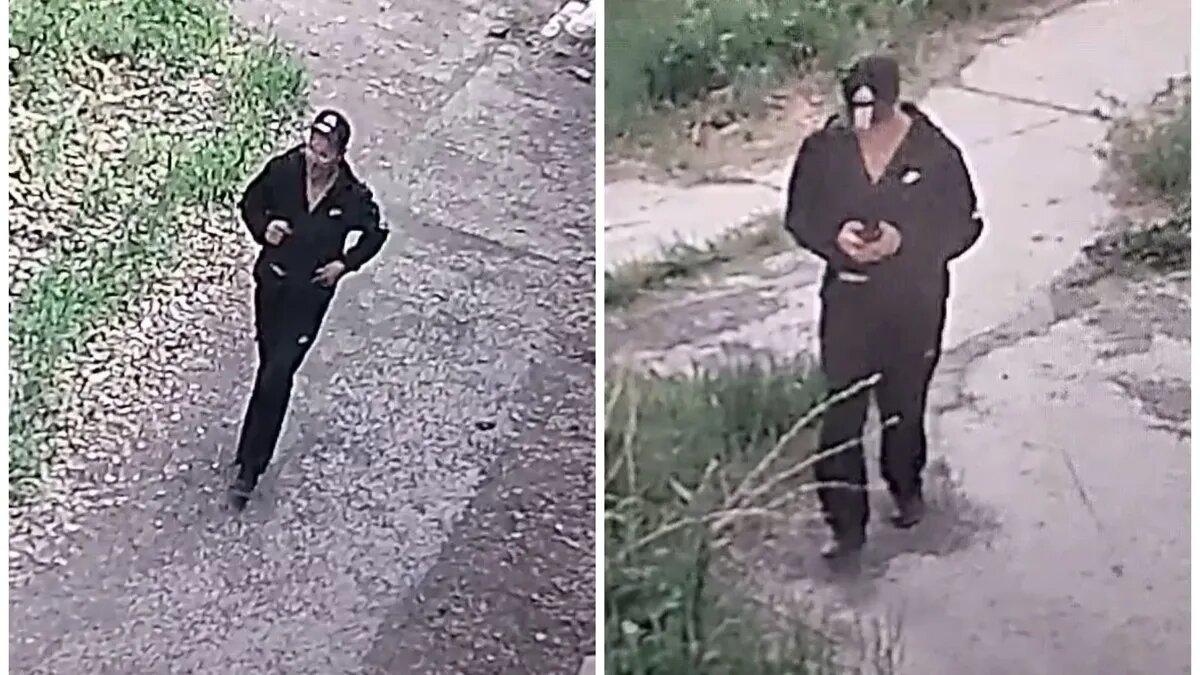 Злоумышленник. Фото: ГУ МВД по новосибирской области