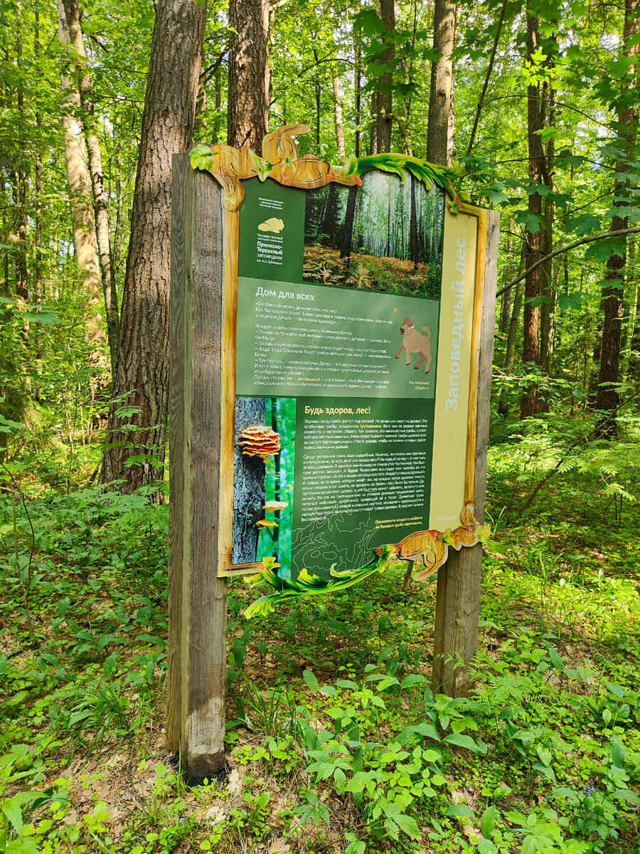 фото автора Елены М.