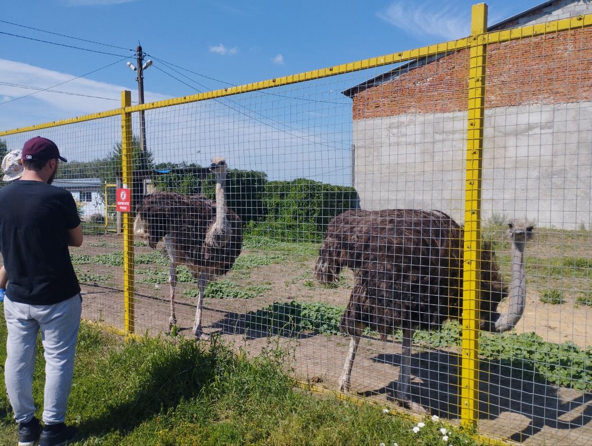 Рязанский зоопарк