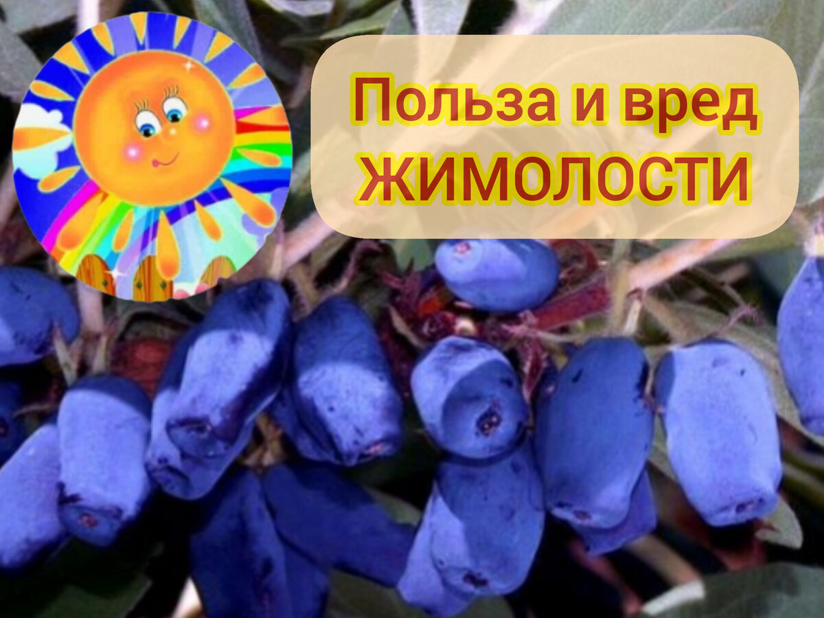 Личный архив 