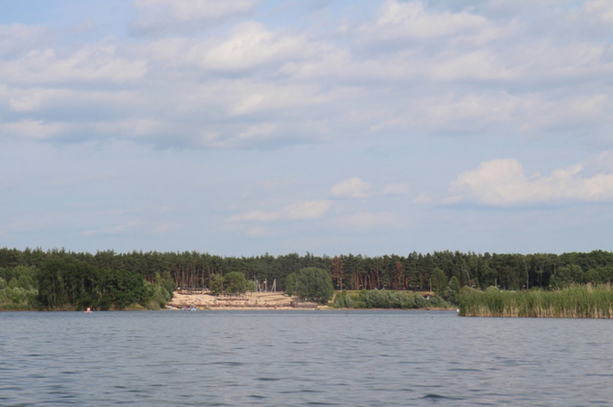    Власти разъяснили, как ведётся программа очистки белгородских водоёмов