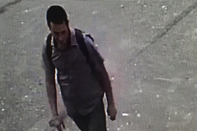    Мужчина, который унёс кошку Машу от ГКЦ Фото: Городской культурный центр Пскова 