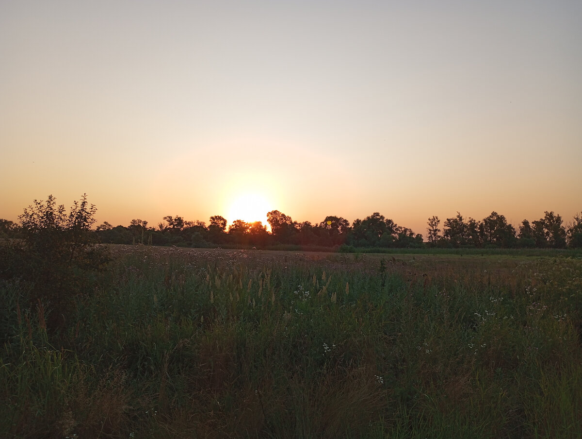 Фото автора. Вид из нашего двора. 