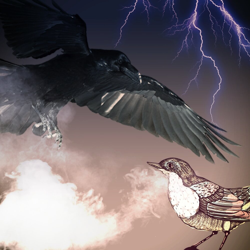 Посмотреть правде в глаза. Фоторедактор