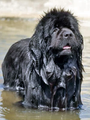 фото из свободного доступа в интернете