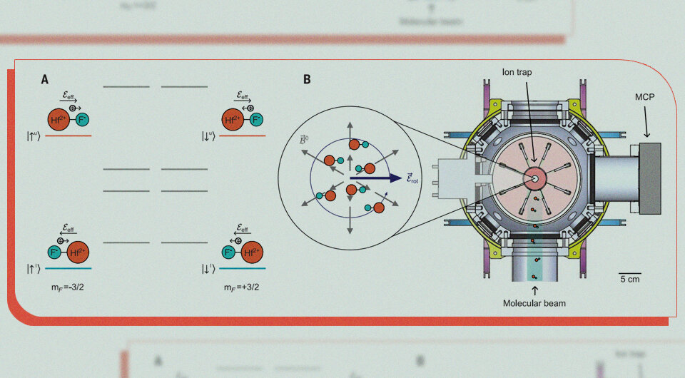   Tanya S. Roussy et al. / Science, 2023; N + 1