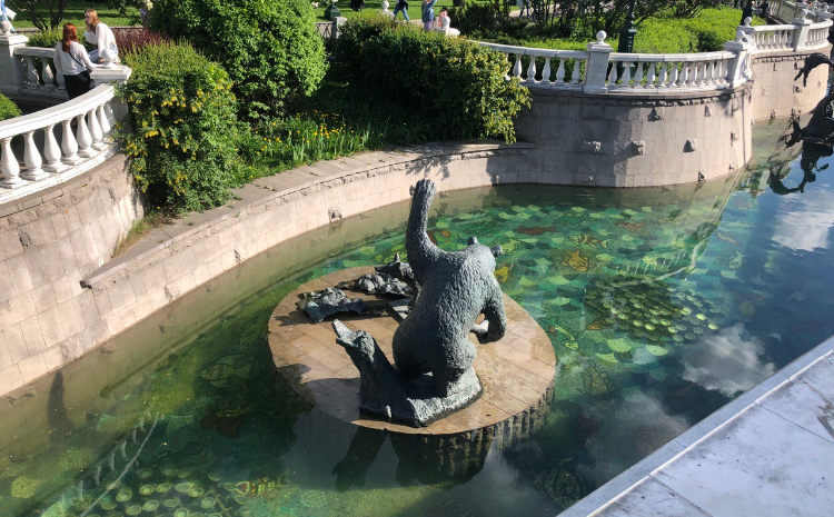    Фото: Ксения Фурдман Ксения Фурдман