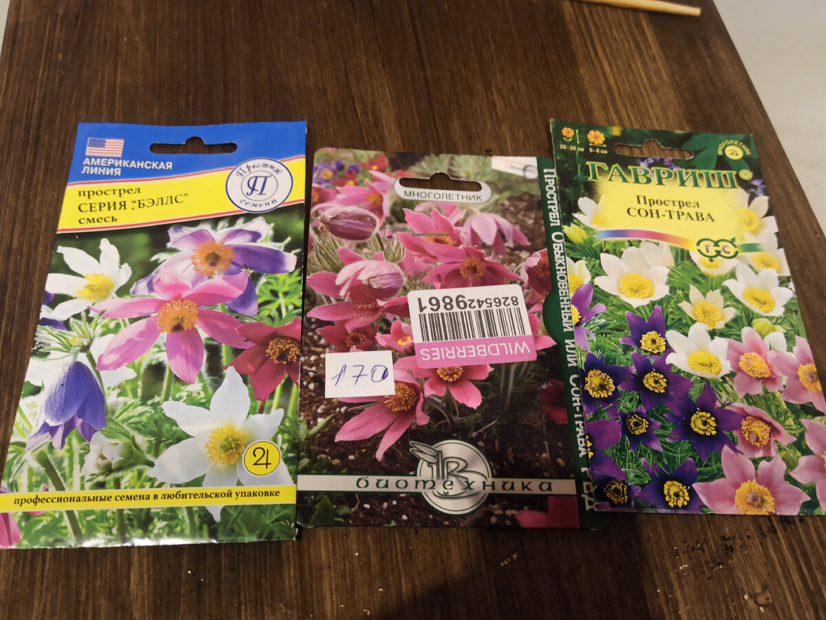 Семена, которые я сеяла