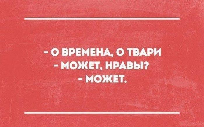 Тварь неблагодарная. Карикатура министр финансов. Я тебя накормлю. Силуанов карикатура. Тварь ты неблагодарная.