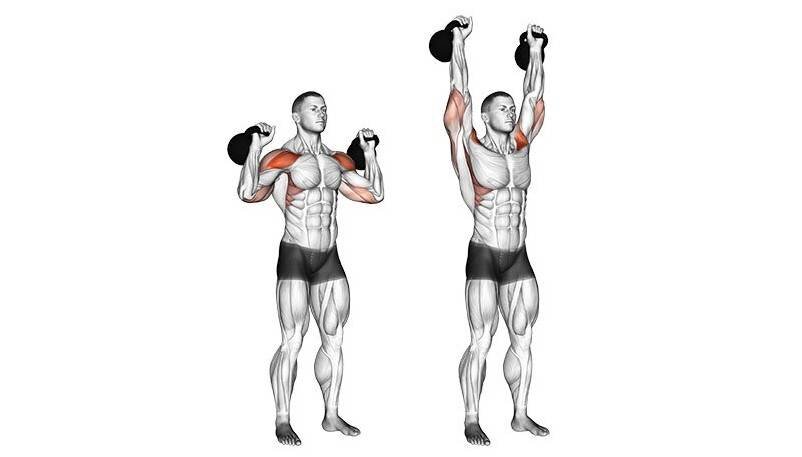 Жим гири (гирь) стоя  — это многосуставное силовое упражнение, которое является базовым и предназначено преимущественно для развития дельтовидных мышц, а также всего плечевого пояса.