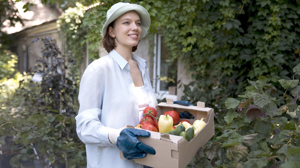    Эксперт рассказала, как правильно подготовить подвал для хранения овощей