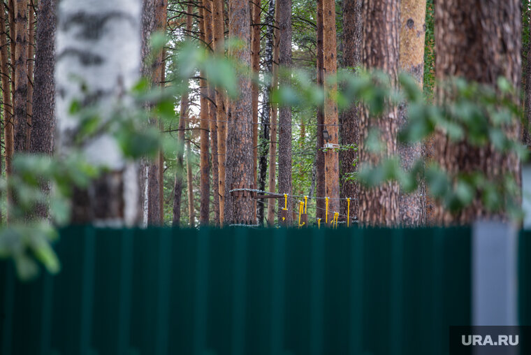    Бывший пионерлагерь реализуют посредством торгов