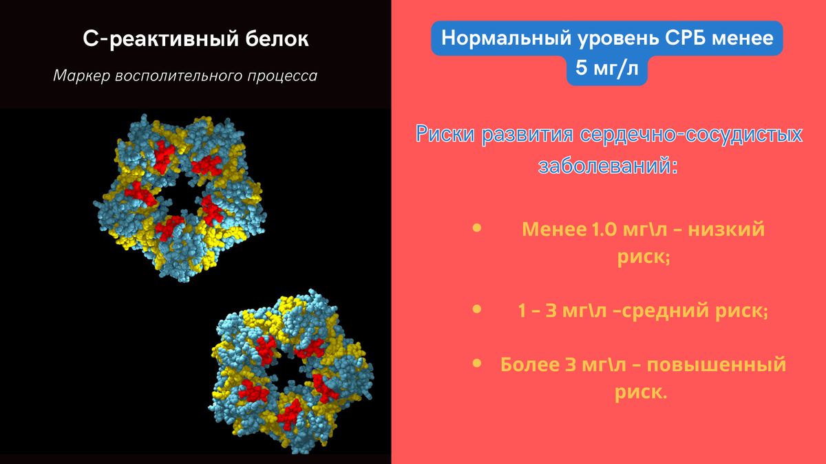 Результаты с реактивного белка. С-реактивный белок при бронхите. С-реактивный белок при остеохондрозе.