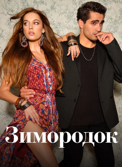 Источник фото: https://www.kinopoisk.ru/series/5106881/?utm_referrer=www.google.ru