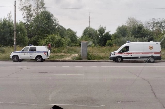    Что за случай с гибелью двух жителей Красного села от оголённого провода?