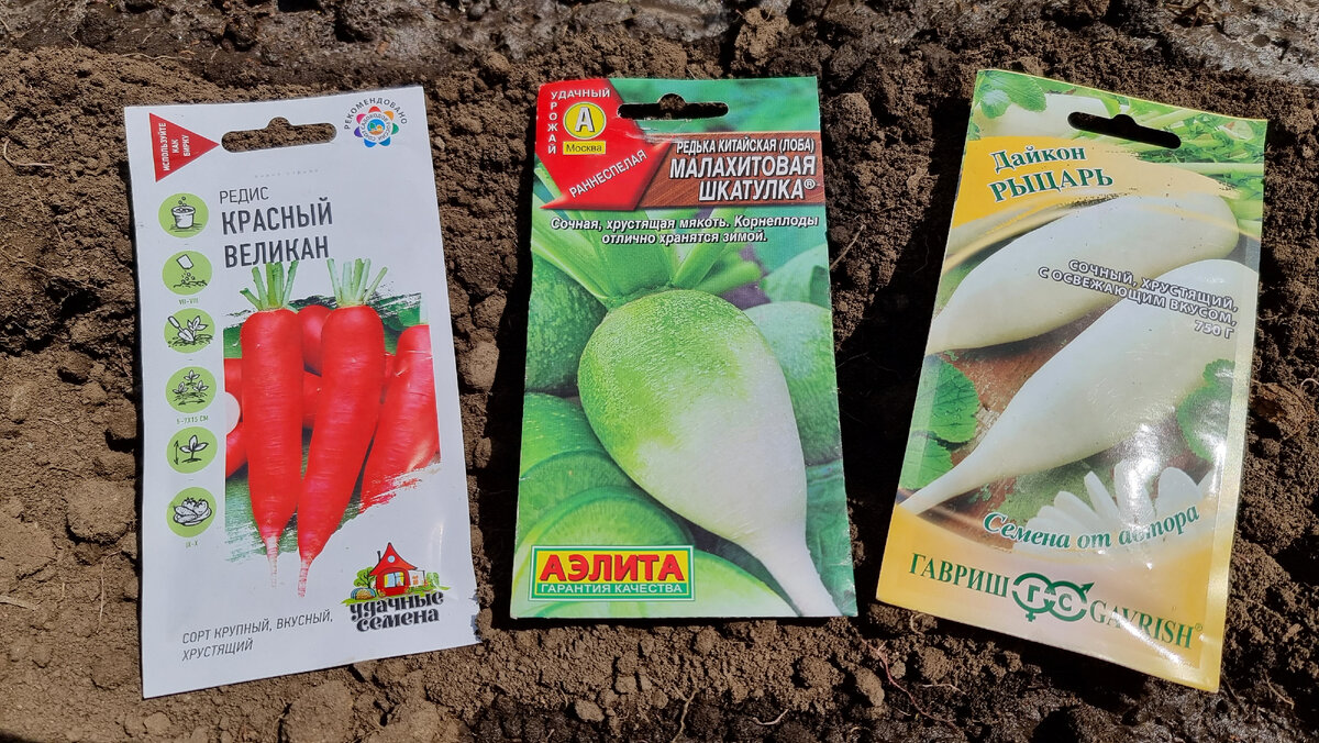 Овощи для посева в конце июля