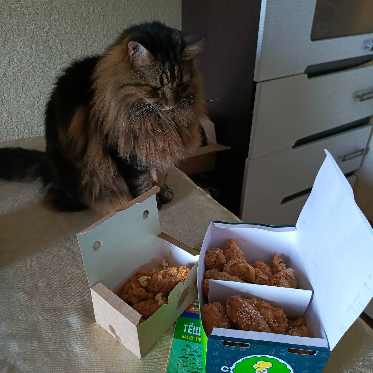 Курочка и кот