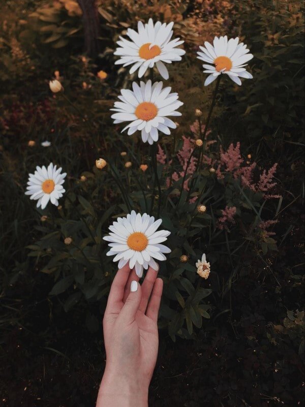 https://images.unsplash.com/photo-1563296564-66b4ba7d42fe?ixlib=rb-4.0.3&ixid=M3wxMjA3fDB8MHxwaG90by1wYWdlfHx8fGVufDB8fHx8fA%3D%3D&auto=format&fit=crop&w=1935&q=80