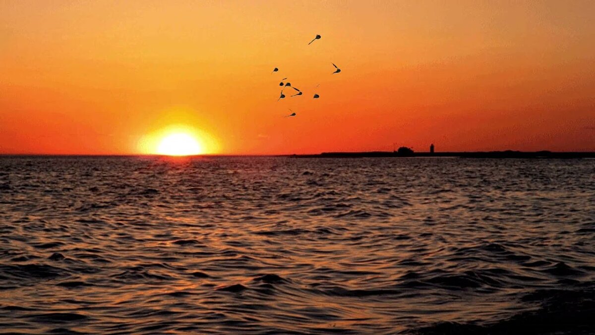 Яндекс-картинки