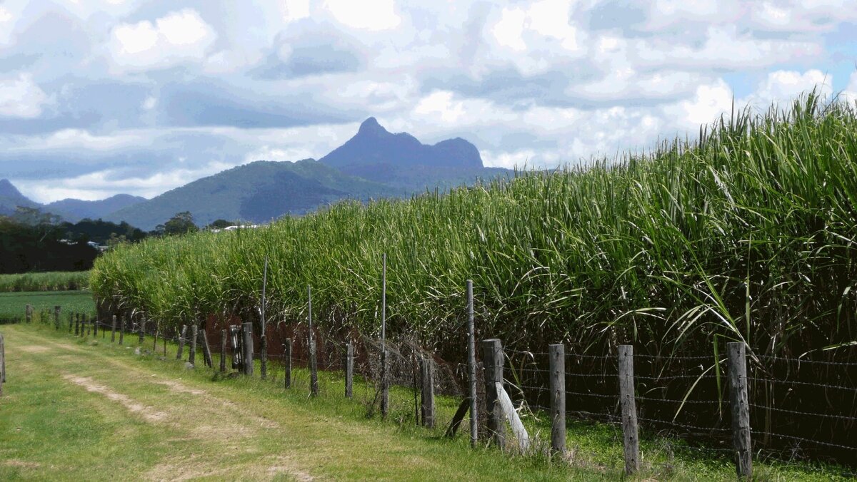 Изображение из свободных источников