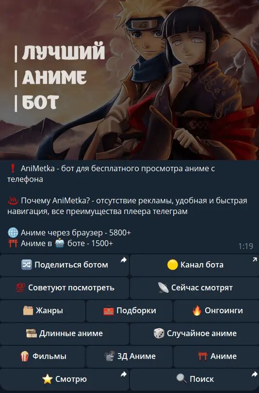 Главная страница бота